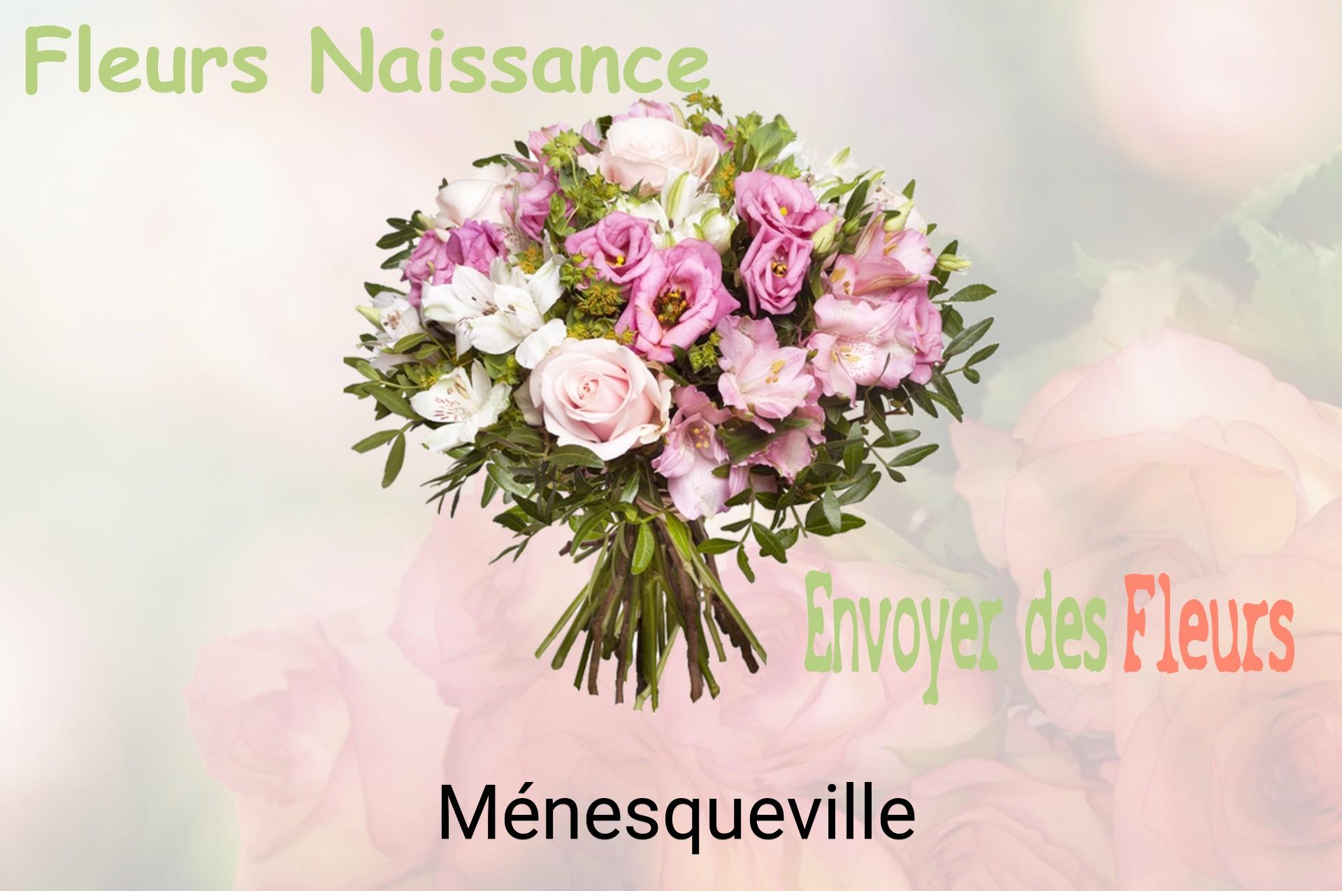 Bouquet de fleurs de naissance livré à Ménesqueville